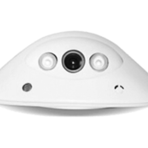 DZ500-MR-2210P Indoor Security Camera