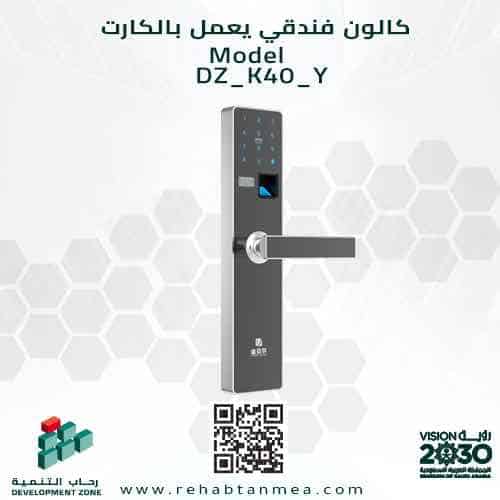 Electronic hotel locker works by card and password model DZ-K40-Y
